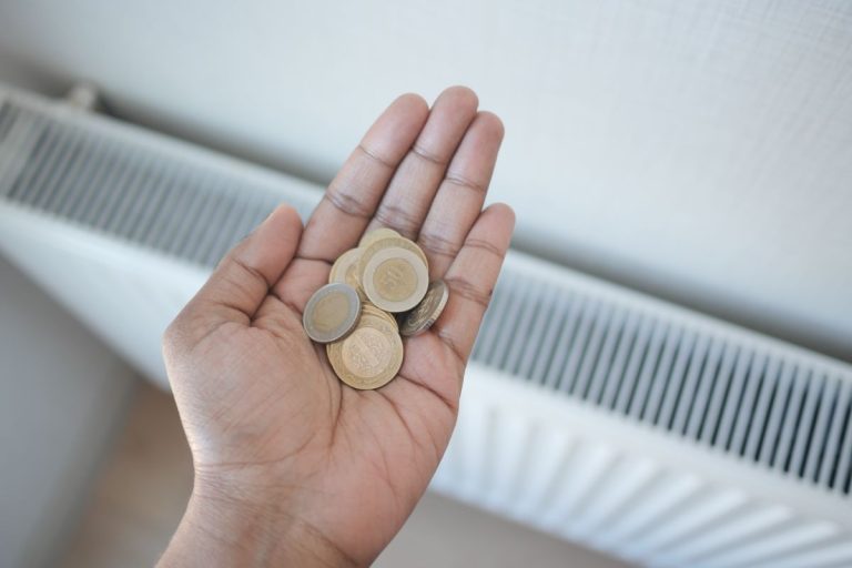 Heizkosten senken in 2026 – mit dem richtigen Kamin geht es